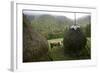 Traditional Alpine Agriculture With Hayrick And Grazing Cow (Bos Taurus) Amidst Woodland. Romania-David Woodfall-Framed Photographic Print