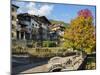 Traditional architecture of the Primiero. Tonadico in the valley of Primiero, Italy.-Martin Zwick-Mounted Photographic Print