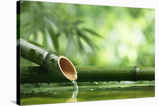 Traditional Asian Bamboo Fountain-Sofiaworld-Stretched Canvas