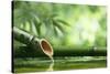 Traditional Asian Bamboo Fountain-Sofiaworld-Stretched Canvas