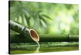 Traditional Asian Bamboo Fountain-Sofiaworld-Stretched Canvas