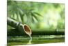 Traditional Asian Bamboo Fountain-Sofiaworld-Mounted Photographic Print