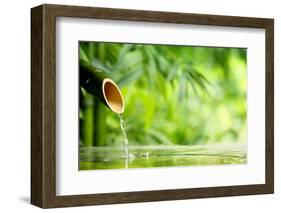 Traditional Asian Fountain-Sofiaworld-Framed Photographic Print