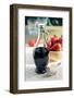 Traditional Balsamic Vinegar of Reggio Emilia Dop-null-Framed Photographic Print