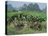 Traditional Bamboo Waterwheel, Guilin, China, Asia-Gina Corrigan-Stretched Canvas