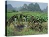 Traditional Bamboo Waterwheel, Guilin, China, Asia-Gina Corrigan-Stretched Canvas