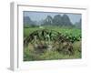 Traditional Bamboo Waterwheel, Guilin, China, Asia-Gina Corrigan-Framed Photographic Print