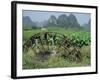 Traditional Bamboo Waterwheel, Guilin, China, Asia-Gina Corrigan-Framed Photographic Print