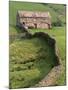 Traditional Barn in Upper Swaledale, Yorkshire Dales National Park, Yorkshire, England, UK-Patrick Dieudonne-Mounted Premium Photographic Print