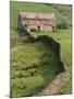 Traditional Barn in Upper Swaledale, Yorkshire Dales National Park, Yorkshire, England, UK-Patrick Dieudonne-Mounted Photographic Print