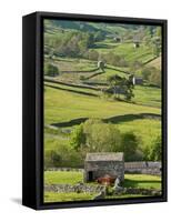 Traditional Barns and Dry Stone Walls in Swaledale, Yorkshire Dales National Park, England-John Woodworth-Framed Stretched Canvas