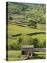 Traditional Barns and Dry Stone Walls in Swaledale, Yorkshire Dales National Park, England-John Woodworth-Stretched Canvas