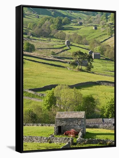 Traditional Barns and Dry Stone Walls in Swaledale, Yorkshire Dales National Park, England-John Woodworth-Framed Stretched Canvas