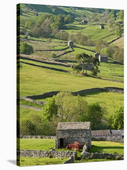 Traditional Barns and Dry Stone Walls in Swaledale, Yorkshire Dales National Park, England-John Woodworth-Stretched Canvas