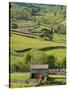 Traditional Barns and Dry Stone Walls in Swaledale, Yorkshire Dales National Park, England-John Woodworth-Stretched Canvas