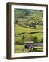 Traditional Barns and Dry Stone Walls in Swaledale, Yorkshire Dales National Park, England-John Woodworth-Framed Photographic Print