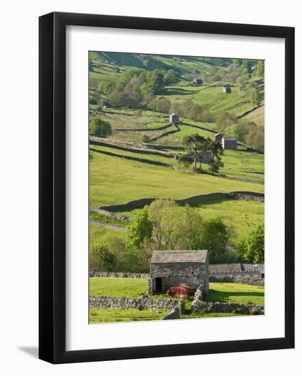 Traditional Barns and Dry Stone Walls in Swaledale, Yorkshire Dales National Park, England-John Woodworth-Framed Photographic Print