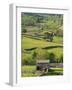 Traditional Barns and Dry Stone Walls in Swaledale, Yorkshire Dales National Park, England-John Woodworth-Framed Photographic Print