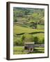 Traditional Barns and Dry Stone Walls in Swaledale, Yorkshire Dales National Park, England-John Woodworth-Framed Photographic Print