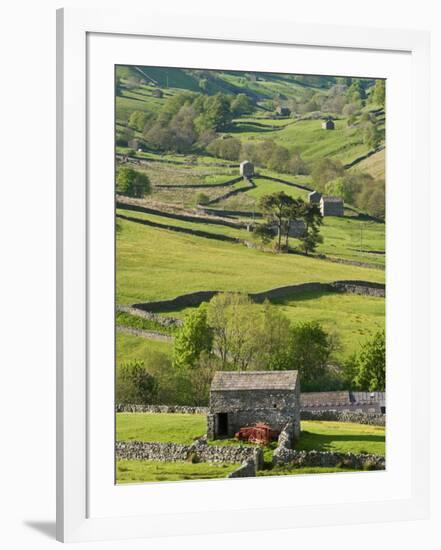 Traditional Barns and Dry Stone Walls in Swaledale, Yorkshire Dales National Park, England-John Woodworth-Framed Photographic Print