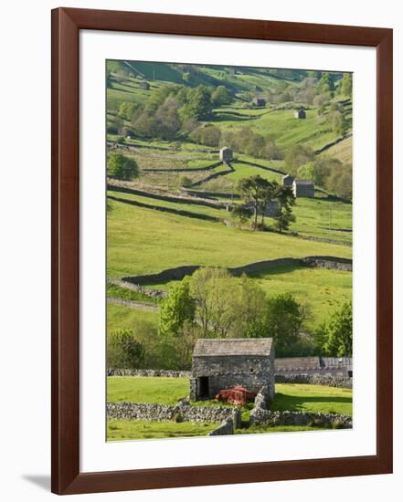 Traditional Barns and Dry Stone Walls in Swaledale, Yorkshire Dales National Park, England-John Woodworth-Framed Photographic Print