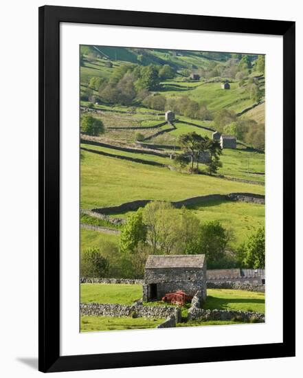 Traditional Barns and Dry Stone Walls in Swaledale, Yorkshire Dales National Park, England-John Woodworth-Framed Photographic Print