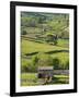 Traditional Barns and Dry Stone Walls in Swaledale, Yorkshire Dales National Park, England-John Woodworth-Framed Photographic Print