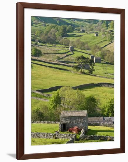 Traditional Barns and Dry Stone Walls in Swaledale, Yorkshire Dales National Park, England-John Woodworth-Framed Photographic Print