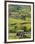 Traditional Barns and Dry Stone Walls in Swaledale, Yorkshire Dales National Park, England-John Woodworth-Framed Photographic Print