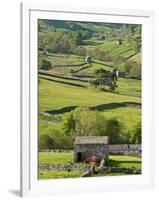 Traditional Barns and Dry Stone Walls in Swaledale, Yorkshire Dales National Park, England-John Woodworth-Framed Photographic Print