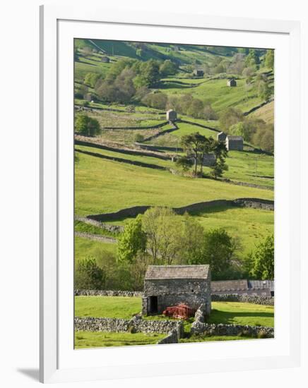 Traditional Barns and Dry Stone Walls in Swaledale, Yorkshire Dales National Park, England-John Woodworth-Framed Photographic Print