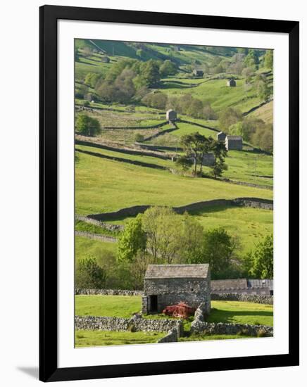 Traditional Barns and Dry Stone Walls in Swaledale, Yorkshire Dales National Park, England-John Woodworth-Framed Photographic Print