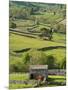 Traditional Barns and Dry Stone Walls in Swaledale, Yorkshire Dales National Park, England-John Woodworth-Mounted Photographic Print