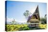 Traditional Batak House in Lake Toba, Sumatra, Indonesia, Southeast Asia-John Alexander-Stretched Canvas