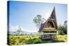 Traditional Batak House in Lake Toba, Sumatra, Indonesia, Southeast Asia-John Alexander-Stretched Canvas