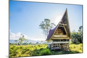 Traditional Batak House in Lake Toba, Sumatra, Indonesia, Southeast Asia-John Alexander-Mounted Photographic Print