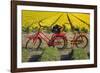 Traditional bicycles, field of tulips, South Holland, Netherlands, Europe-Markus Lange-Framed Photographic Print