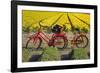 Traditional bicycles, field of tulips, South Holland, Netherlands, Europe-Markus Lange-Framed Photographic Print