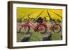 Traditional bicycles, field of tulips, South Holland, Netherlands, Europe-Markus Lange-Framed Photographic Print