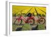 Traditional bicycles, field of tulips, South Holland, Netherlands, Europe-Markus Lange-Framed Photographic Print