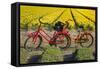 Traditional bicycles, field of tulips, South Holland, Netherlands, Europe-Markus Lange-Framed Stretched Canvas