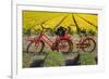 Traditional bicycles, field of tulips, South Holland, Netherlands, Europe-Markus Lange-Framed Photographic Print