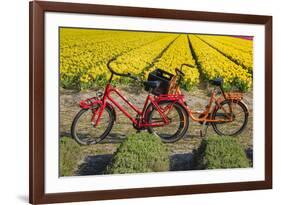 Traditional bicycles, field of tulips, South Holland, Netherlands, Europe-Markus Lange-Framed Photographic Print