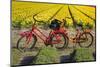 Traditional bicycles, field of tulips, South Holland, Netherlands, Europe-Markus Lange-Mounted Photographic Print