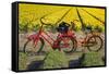 Traditional bicycles, field of tulips, South Holland, Netherlands, Europe-Markus Lange-Framed Stretched Canvas