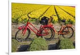 Traditional bicycles, field of tulips, South Holland, Netherlands, Europe-Markus Lange-Framed Photographic Print