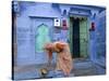 Traditional Blue Architecture, Jodhpur, Rajasthan, India-Doug Pearson-Stretched Canvas