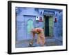 Traditional Blue Architecture, Jodhpur, Rajasthan, India-Doug Pearson-Framed Photographic Print