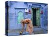 Traditional Blue Architecture, Jodhpur, Rajasthan, India-Doug Pearson-Stretched Canvas