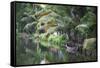 Traditional Boat Moored on the Still Water of the Kerala Backwaters, Kerala, India, Asia-Martin Child-Framed Stretched Canvas